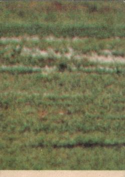 1979 Scanlens VFL #63 Keith Greig Back